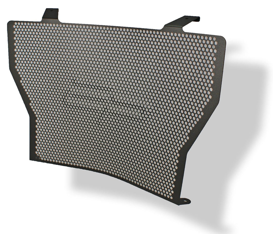 BMW S 1000 R 2017 onwards RADIATOR GUARD by Evotech Performance