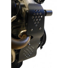 Load image into Gallery viewer, DUCATI Monster 797 2017+ Engine Guard CNC Black by Evotech Performance