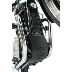 Triumph Thruxton 2003-16 Radiator & Sump Protection Guard by Evotech Performance